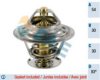 FAE 5301583 Thermostat, coolant